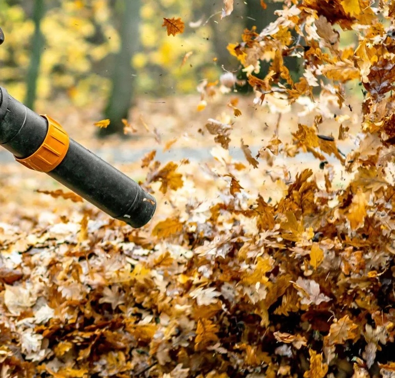 Bloomberg article: Leaf Blower